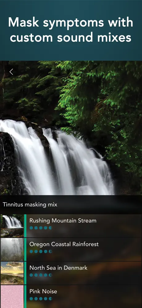 Tinnitus HQ sound mixer with multiple layers